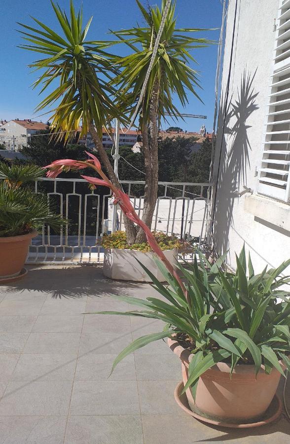 Plavi Zal Dubrovnik