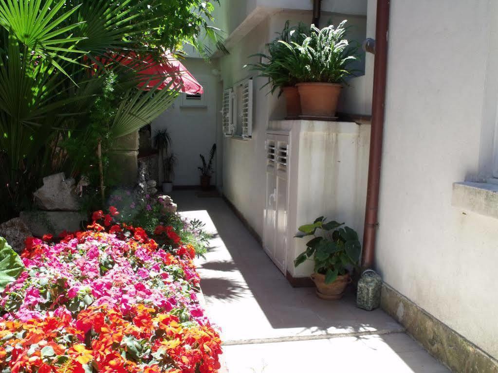 Apartman Plavi Zal *