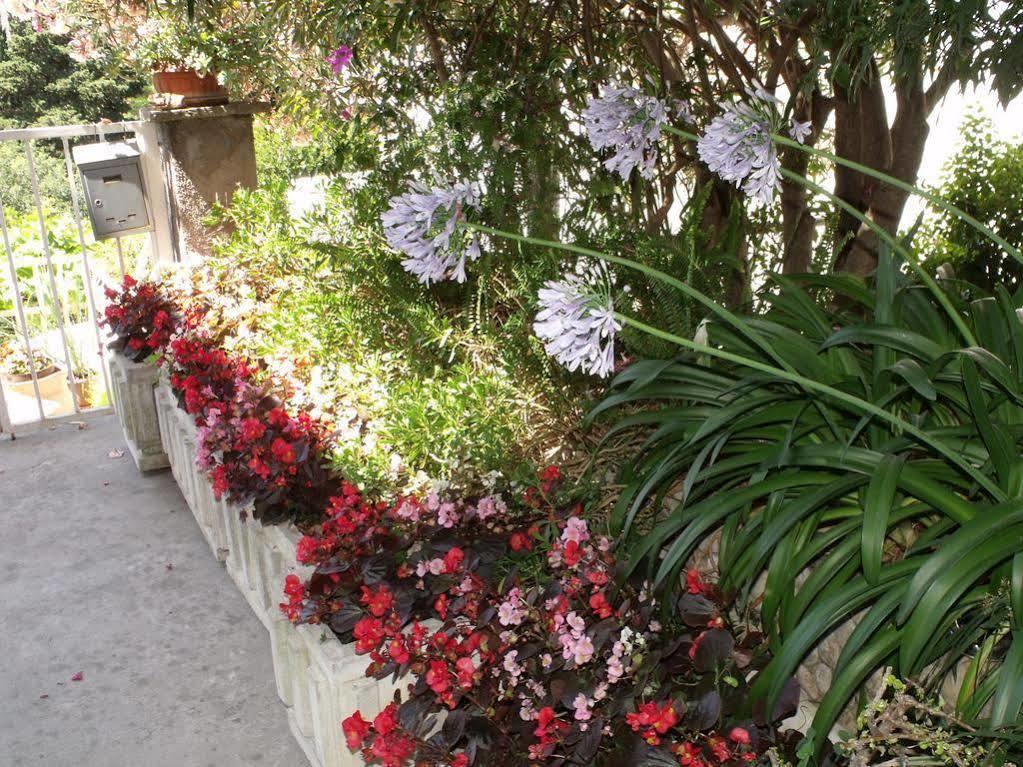 Apartman Plavi Zal